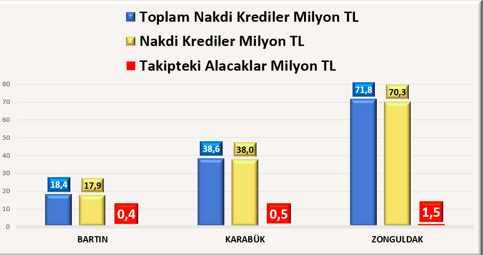 Bartın Kar Zong Nakit Kradi