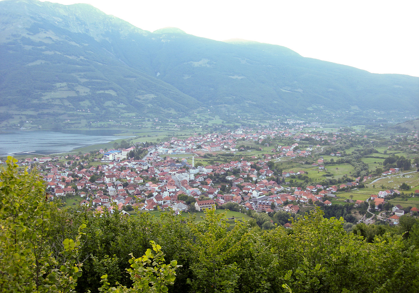 Plavvviki
