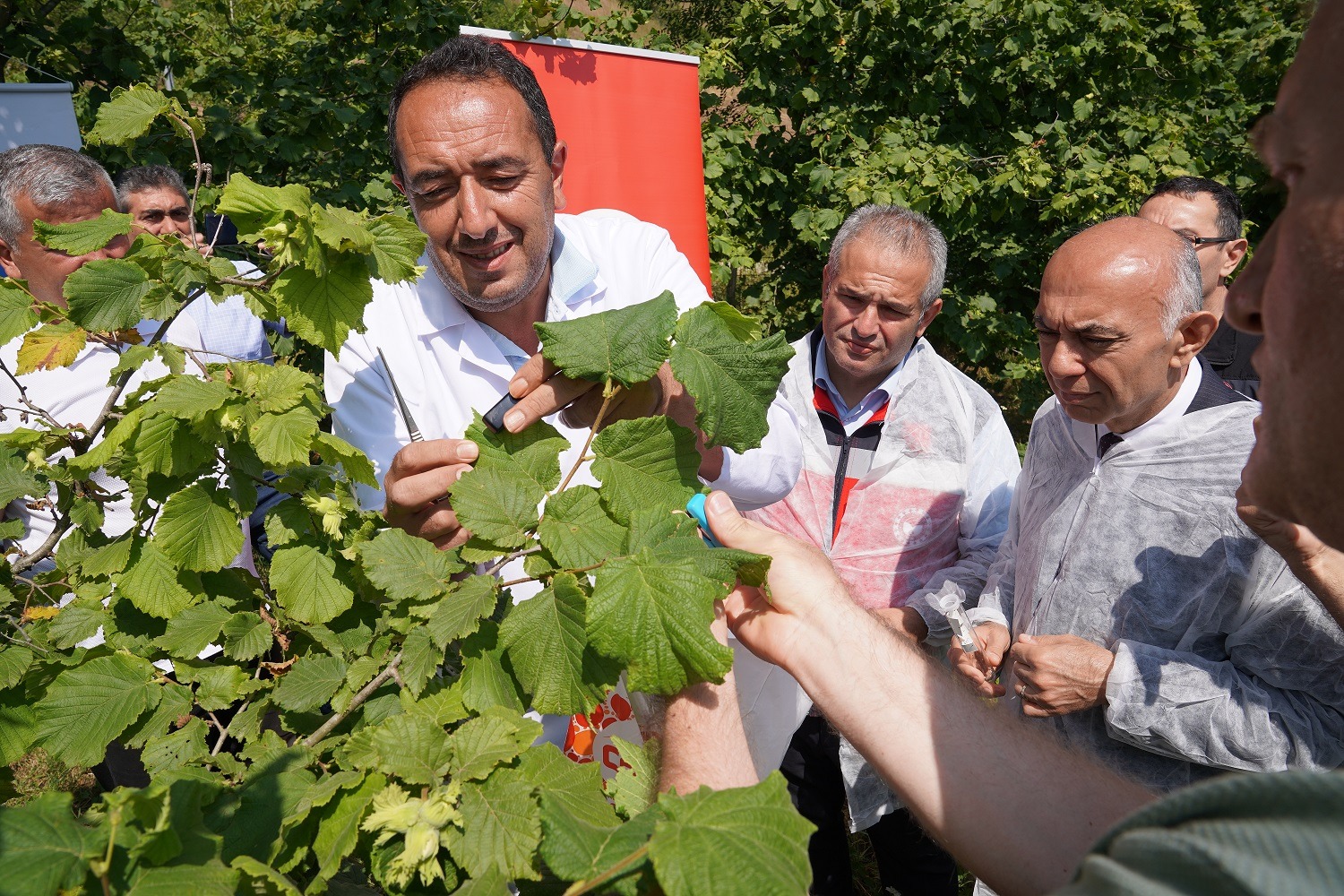 Kahverengi Kokarcaya Karşı Doğa Dostu Mücadele