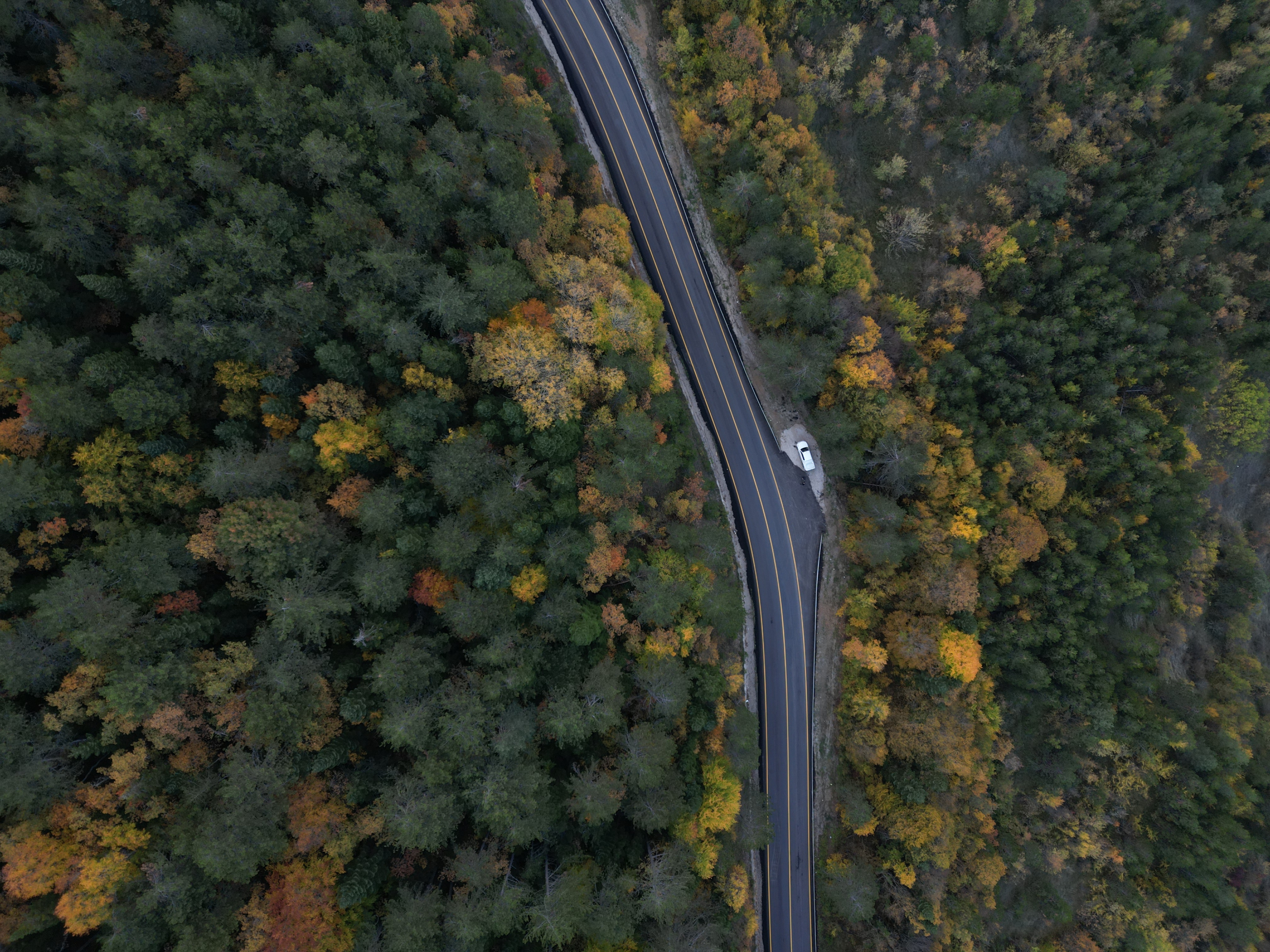 BARTIN-Karabük yolundaki 1030 rakımlı Ahmetusta Geçidi’nde sonbaharla birlikte renklerin güzelliği dikkat çekiyor. Yolun ve çevresindeki ormanlar, dronla görüntülendi.