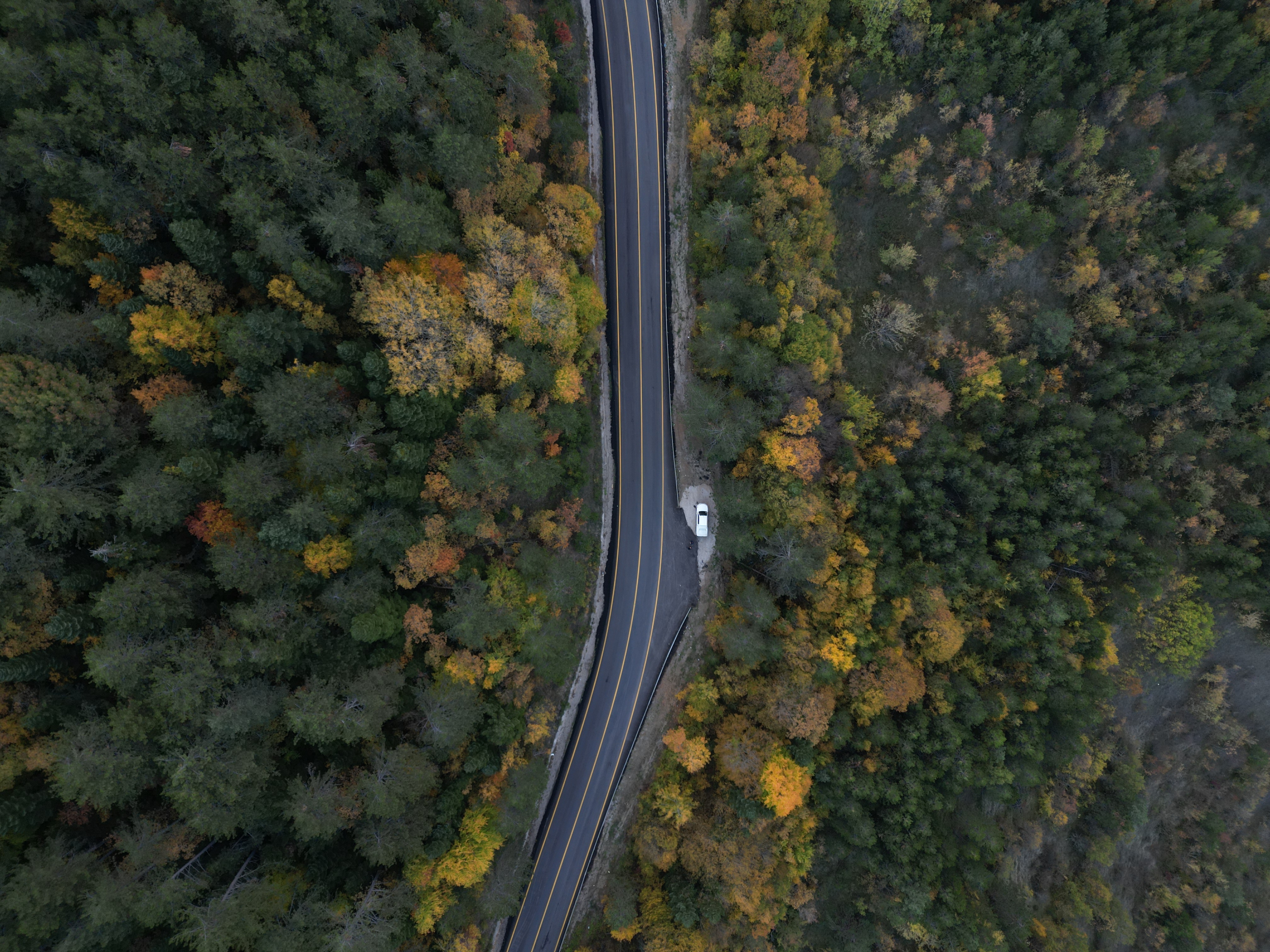 Bartın-Karabük yolunda sonbahar güzelliği