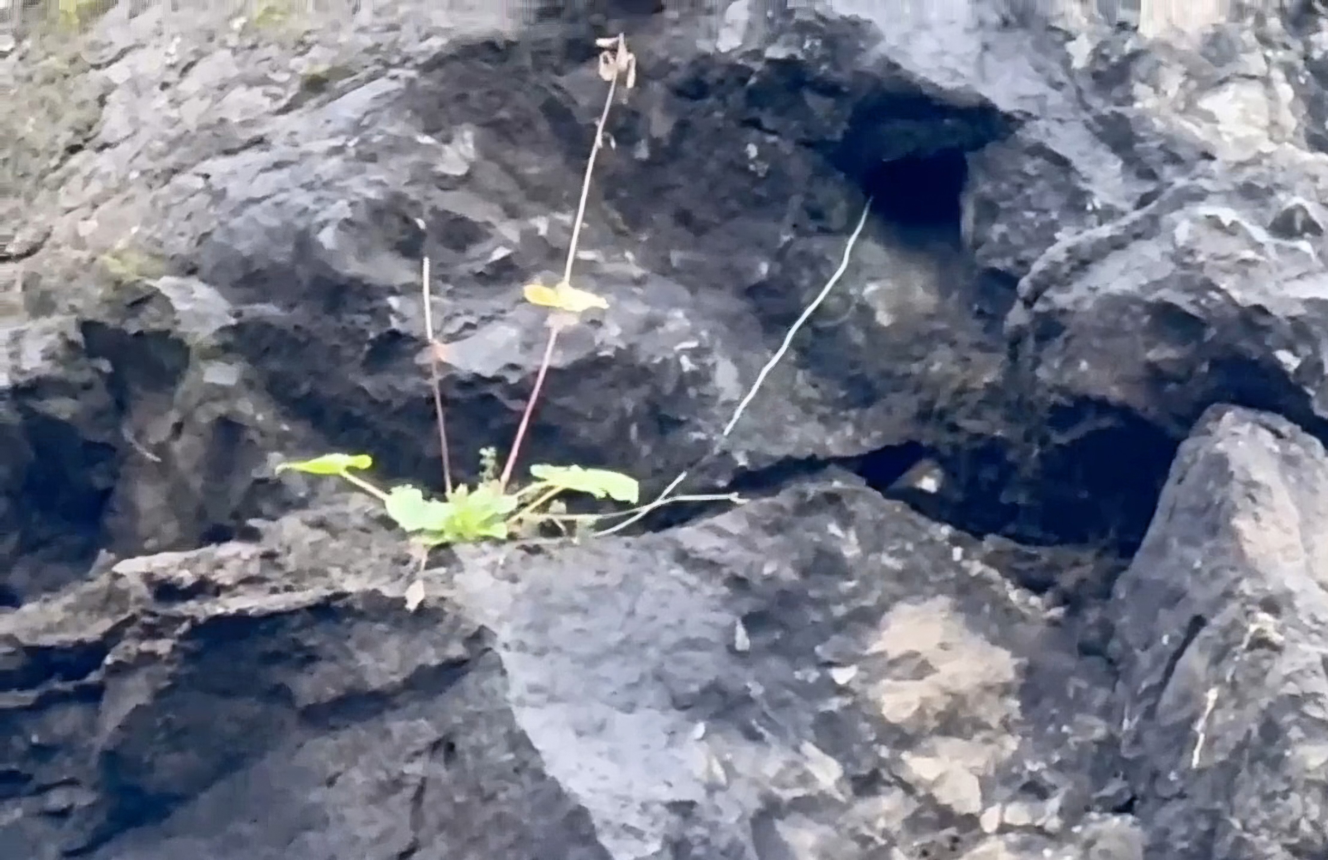 Amasra Kaymakamı Muhammed Çetin, ilçeye bağlı Ahatlar Köyü mevkisindeki karayolunun kenarındaki bir kayanın yola düşme tehlikesi bulunduğu ve kayadaji oyuklardan kablolar sarktığı ihbarı üzerine bölgeye kolluk kuvvetlerini yönlendirdi. İhbarı üzerine olay yerine giden jandarma ve polis ekipler, bombalı tuzak ihtimaline karşı bölgede geniş güvenlik tedbirleri aldı. Bartın Emniyet Müdürlüğü Bomba İmha ekipleri de olay yerine gelerek inceleme yaptı. Yapılan incelemelerse yol kenarındaki birden fazla kayada oyukların bulunduğu, bu deliklerden kabloların sarktığı görüldü.