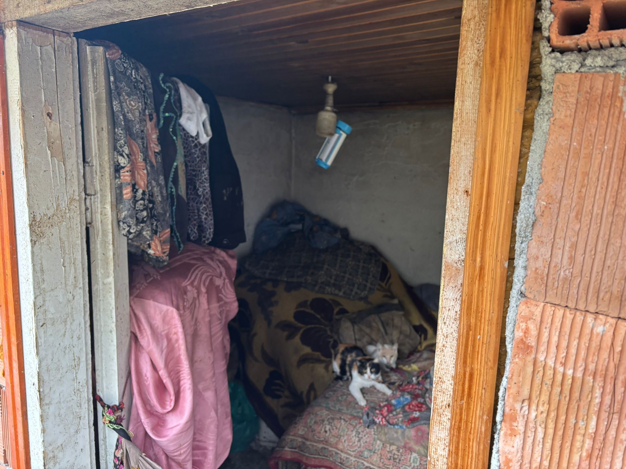 Gözlerden uzak, kimsesiz, yalnız bir kadının sessiz çığlığı bu…
Komşuların zaman zaman getirdiği yiyeceklerle karnını doyuran, gündüzleri çevreden topladığı odun parçalarıyla ısınmaya çalışan Meliha Kapucu, yokluğun içinde onuruyla yaşam mücadelesi veriyor.