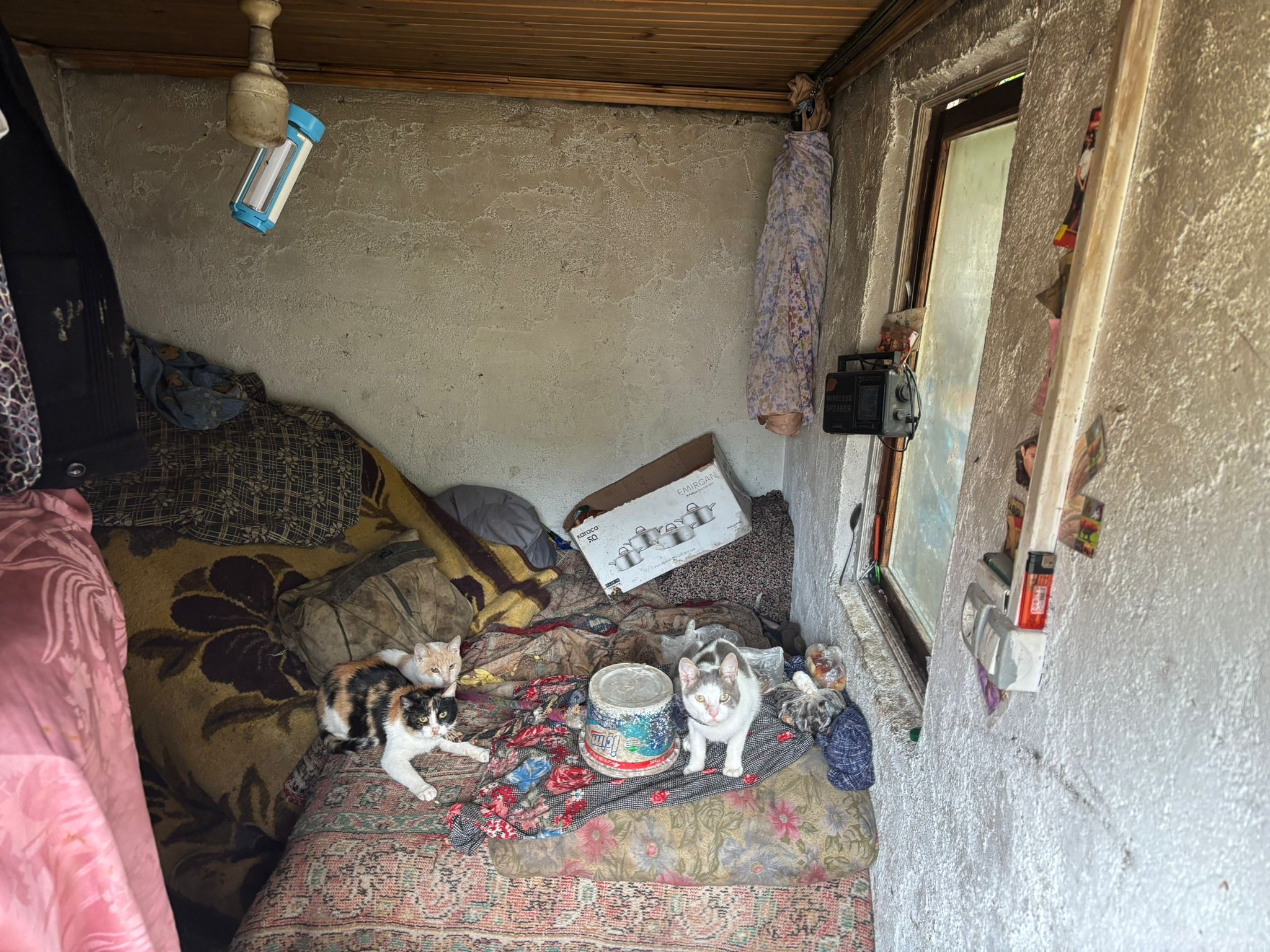 “Bir insanın yaşaması imkânsız koşullarda ayakta durmaya çalışıyor. Bu tablo hepimizin vicdanını sızlatıyor. Yetkililerden yardım eli uzatılmasını istiyoruz.”