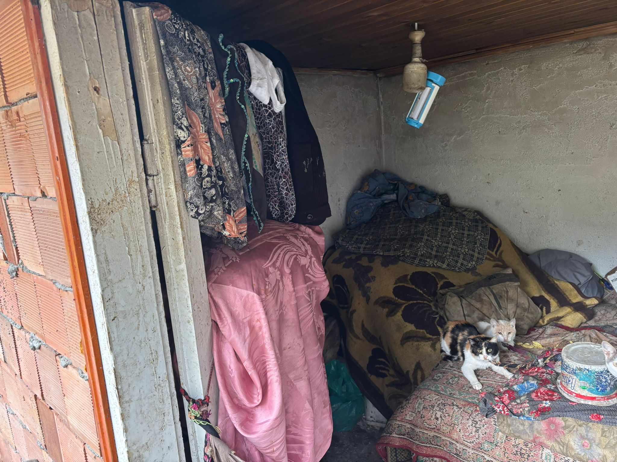 Meliha Teyze’nin Barakada Geçen Yaşam Mücadelesi