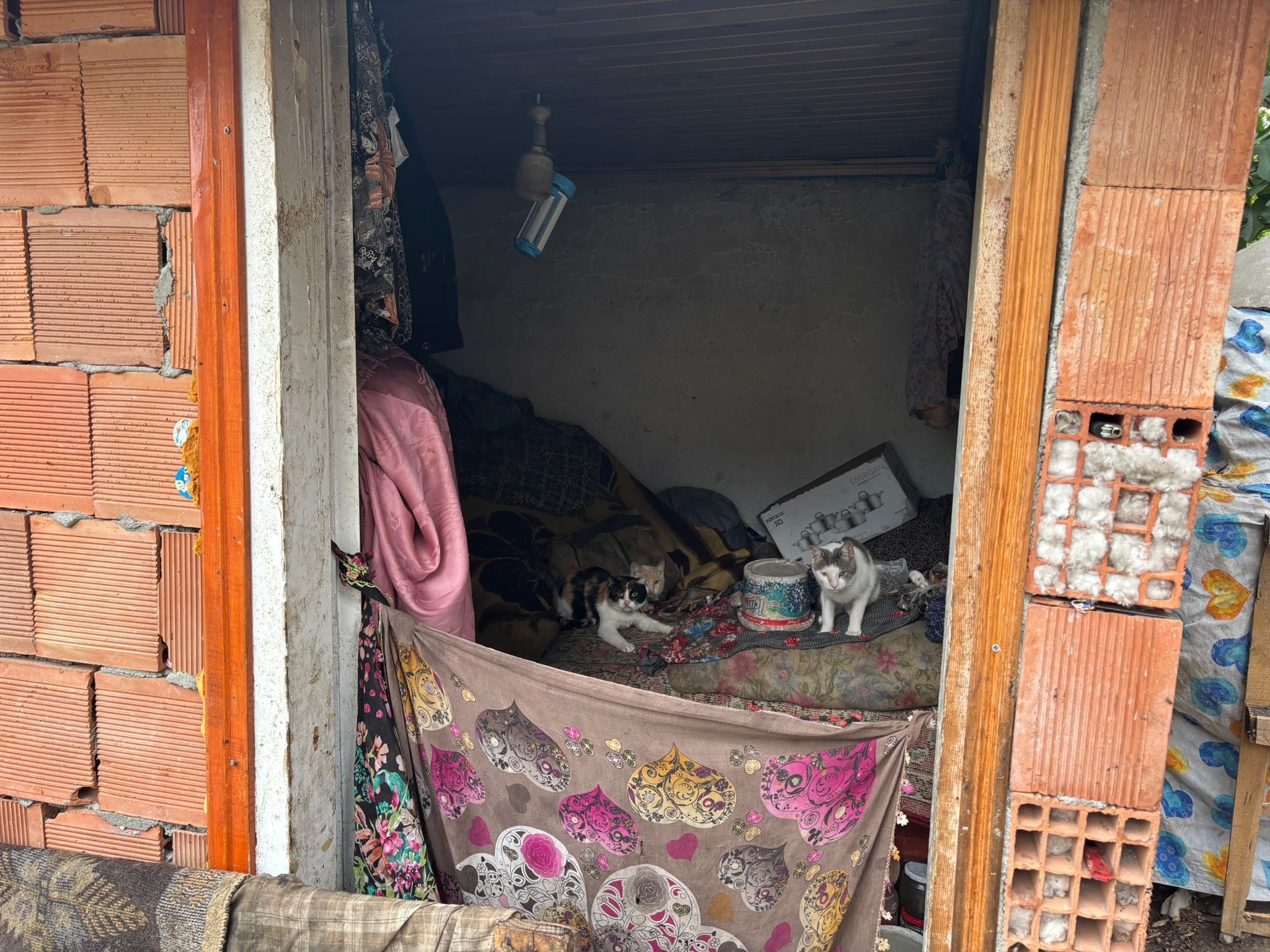 “Bir ışığım olsun isterdim” diyor…
O cümle, aslında sadece elektriği değil, hayatındaki karanlığı da anlatıyor.