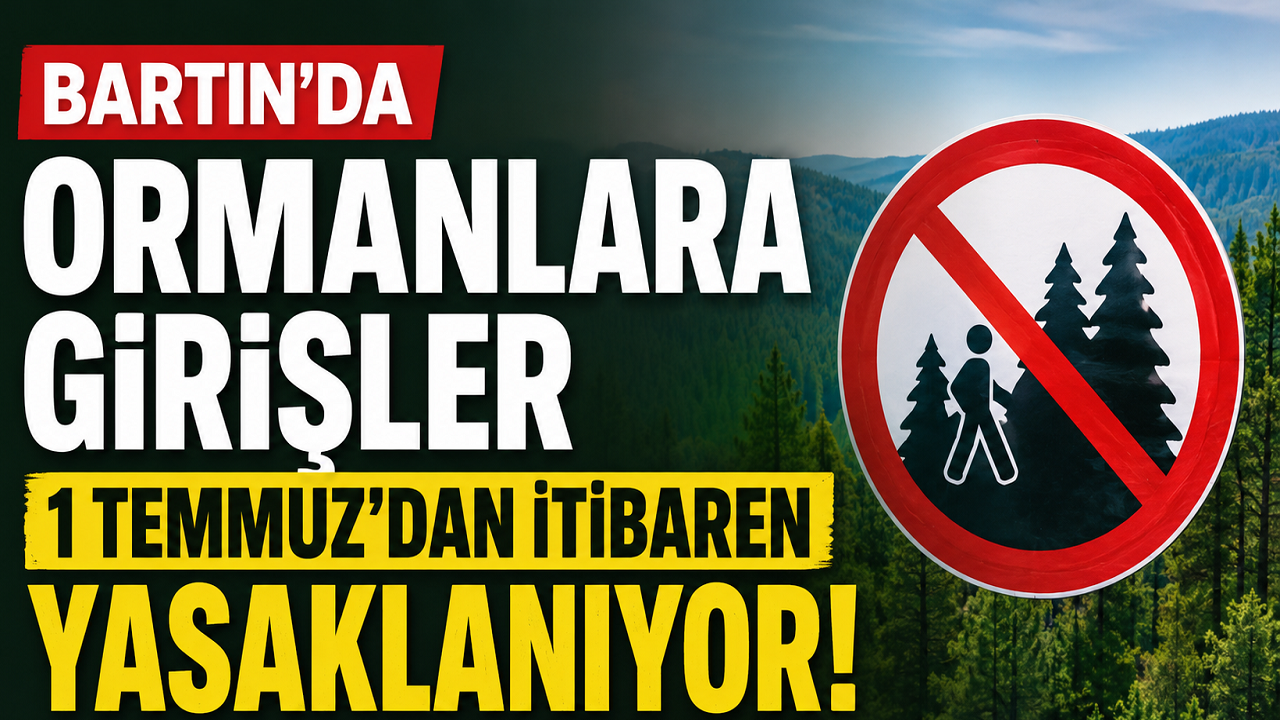 Bartın'da Ormanlara Girişler Yasaklanıyor !