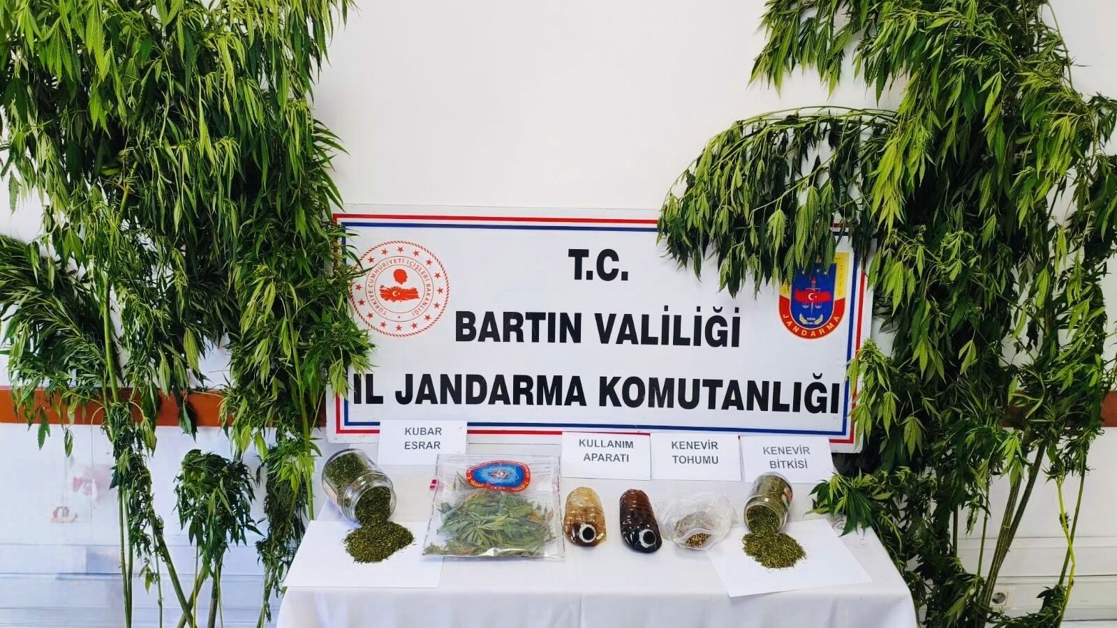 Köye Uyuşturucu Baskını: 1 Gözaltı