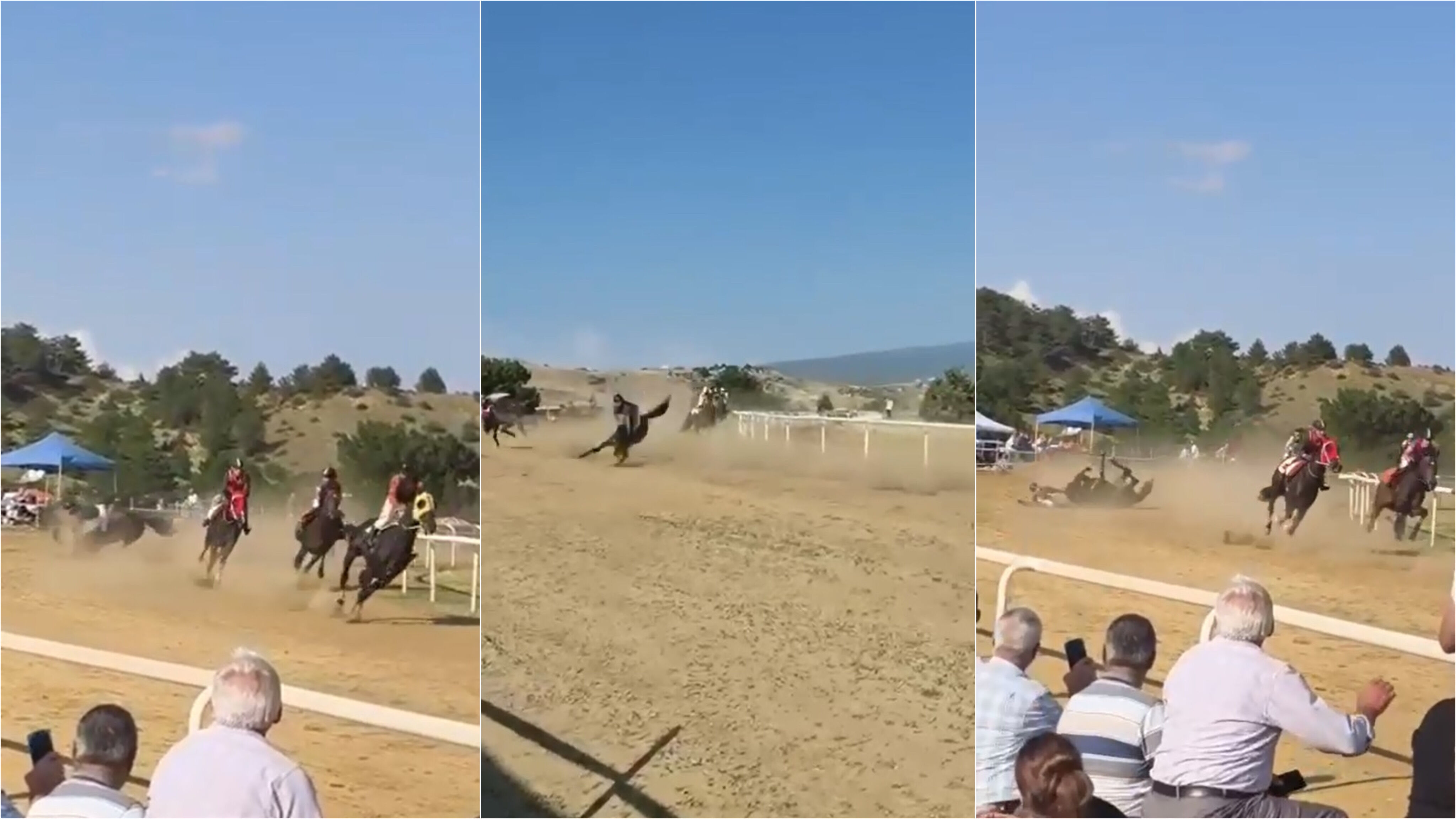 Festivalde at yarışında kaza: 2 at öldü, 1 jokey yaralı