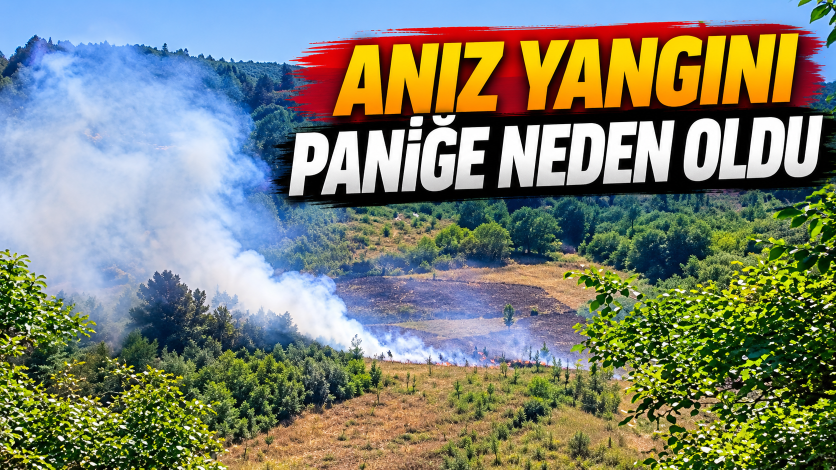 Anız Yangını Paniğe Neden Oldu