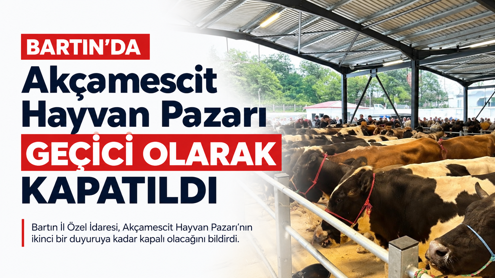 Tarım