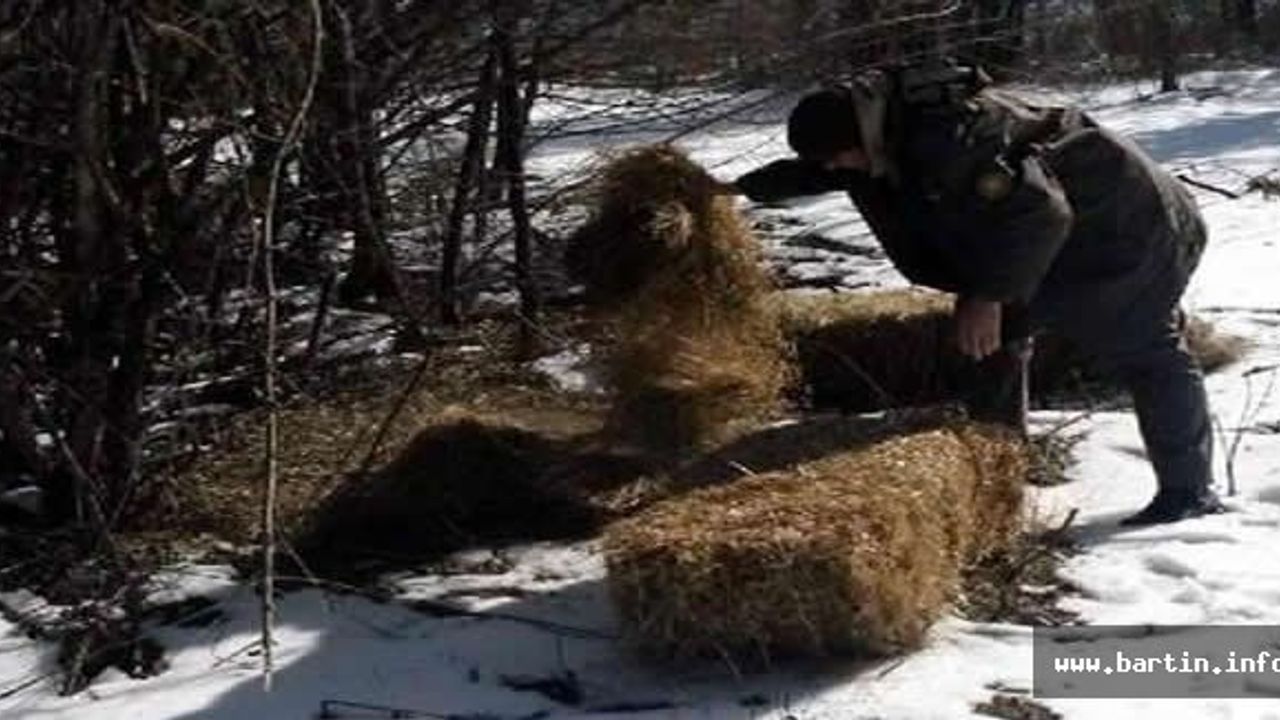 Yaban hayvanları ve kuşlar için doğaya yem