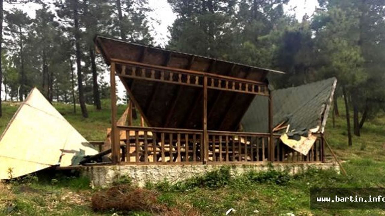 Bartın Kent Ormanı'ndan Sevgilerle (!)