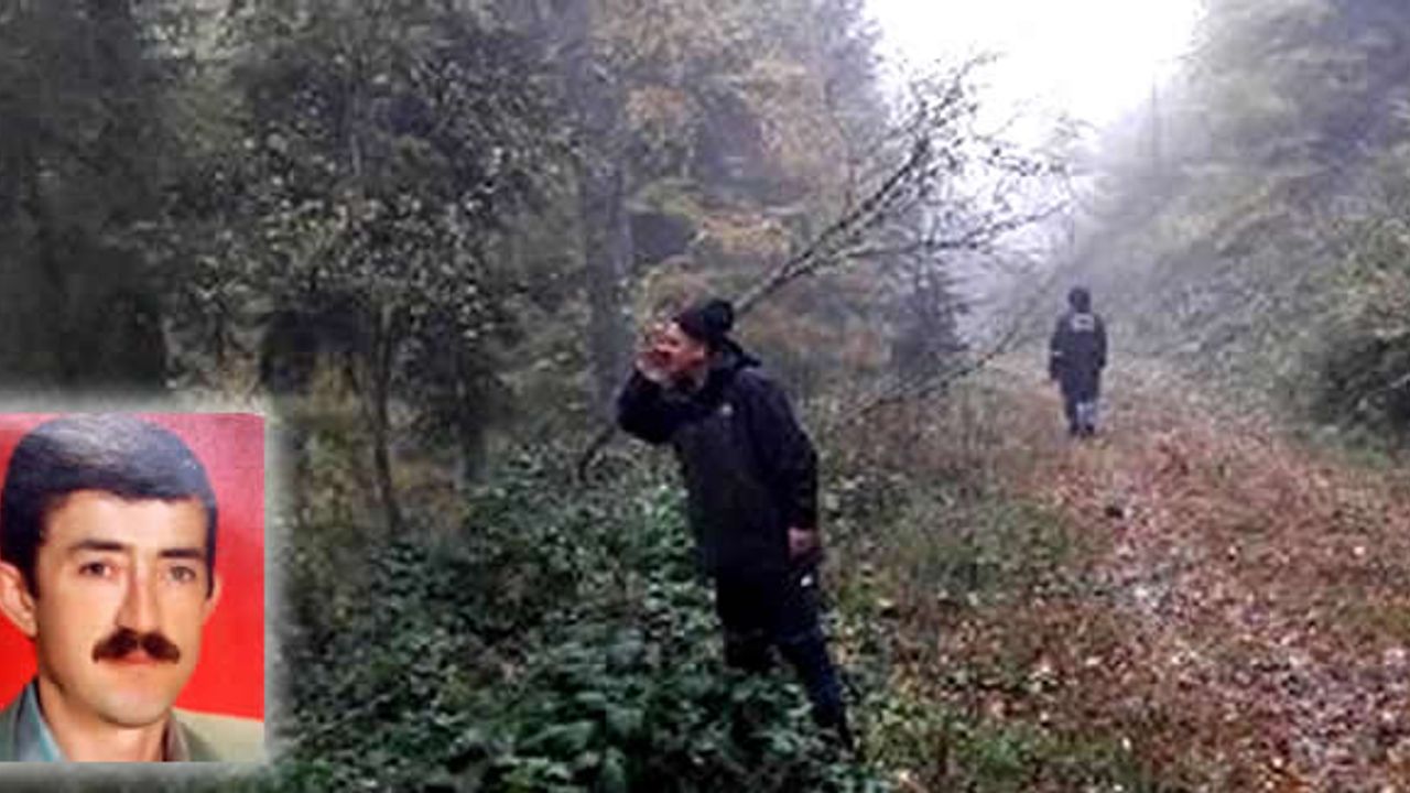 Ormanda mantar toplarken kaybolan emekli aranıyor