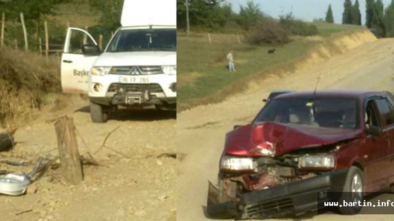 Köpeğe çarpmamak için direksiyonu kırdı ama...