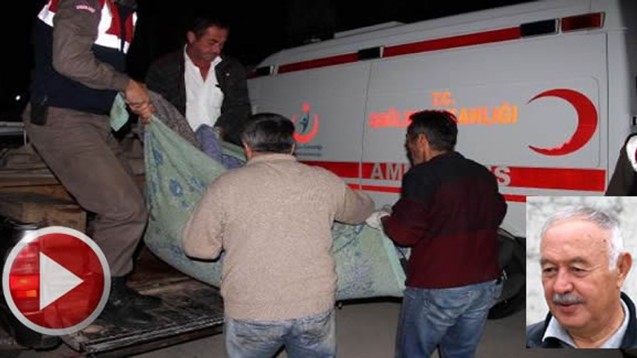Mantar toplamaya giden yaşlı adama ayı saldırdı