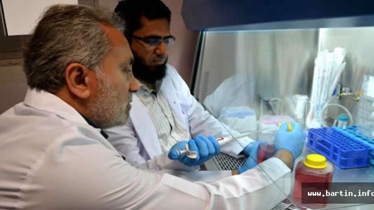 Bartın'da Biyoetanol İçin İlk Adım Atıldı