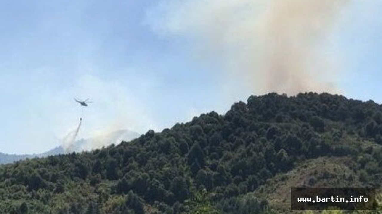 Bartın'da 10 Hektar Orman Küle Döndü