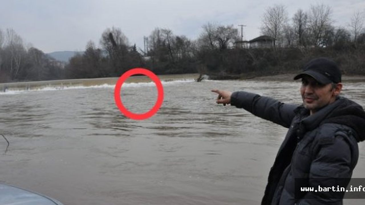 Bartın Irmağı'nda su samuru görüntülendi