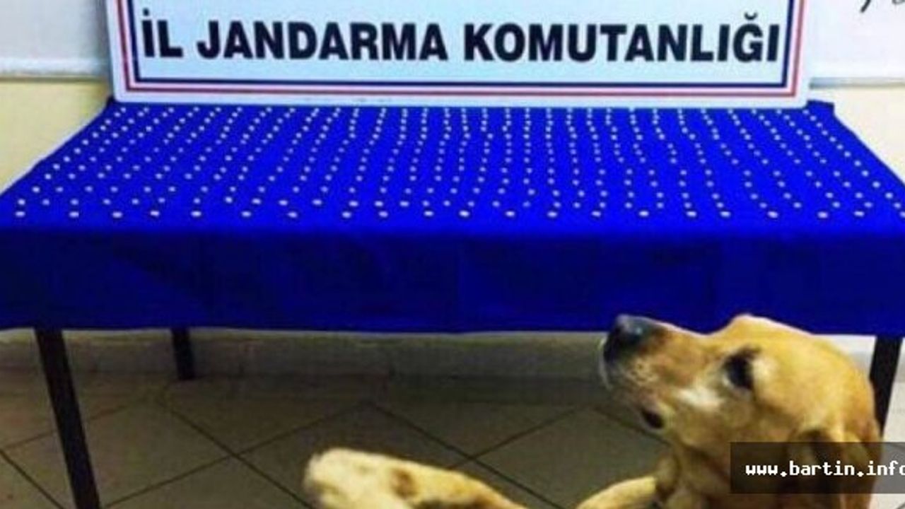 Kozcağız ve Akçamescit'te Ecstasy Operasyonu