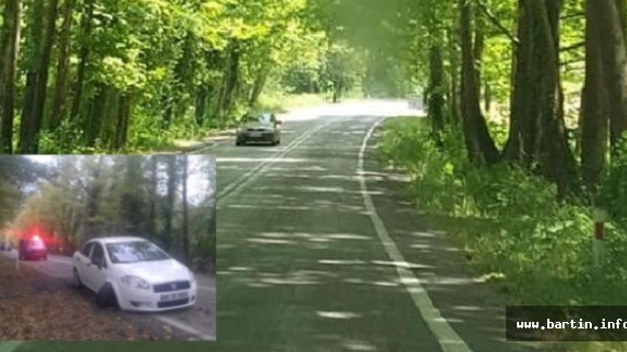 Ağaç Tünelinde Hatıra Fotoğrafı Ölüm Getirdi
