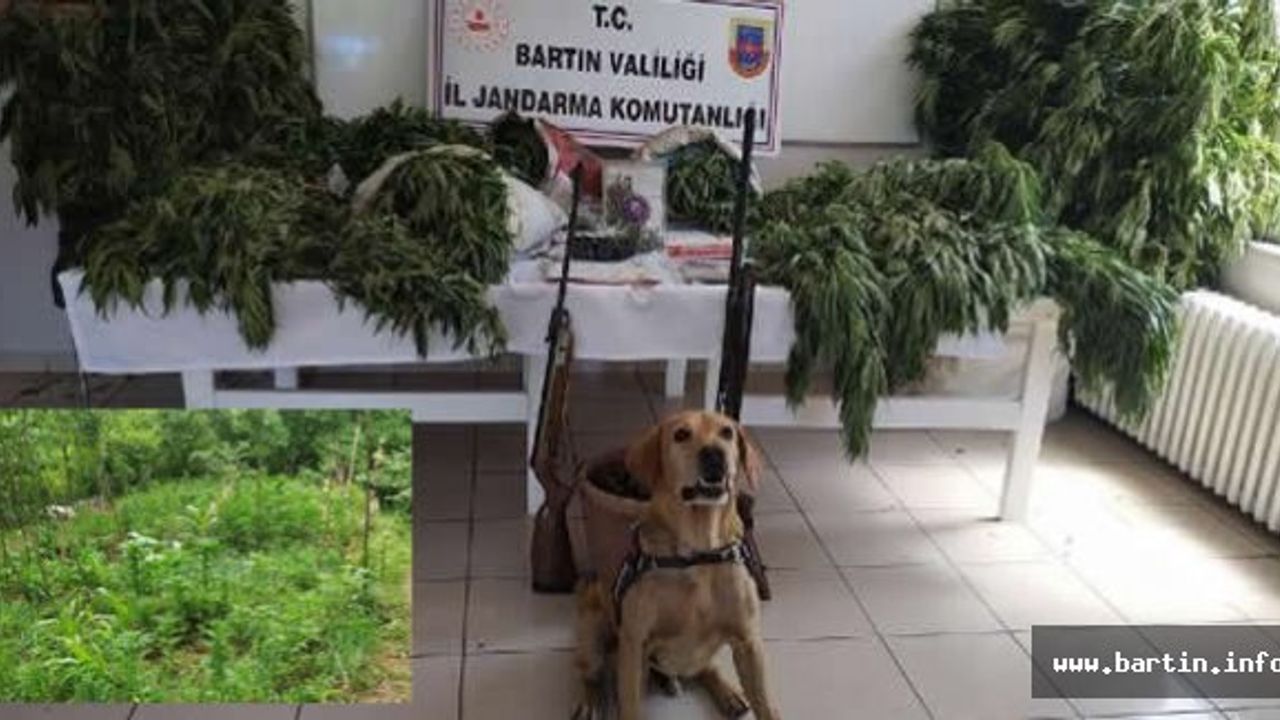 Baba-Oğul ve Torun Tutuklandı