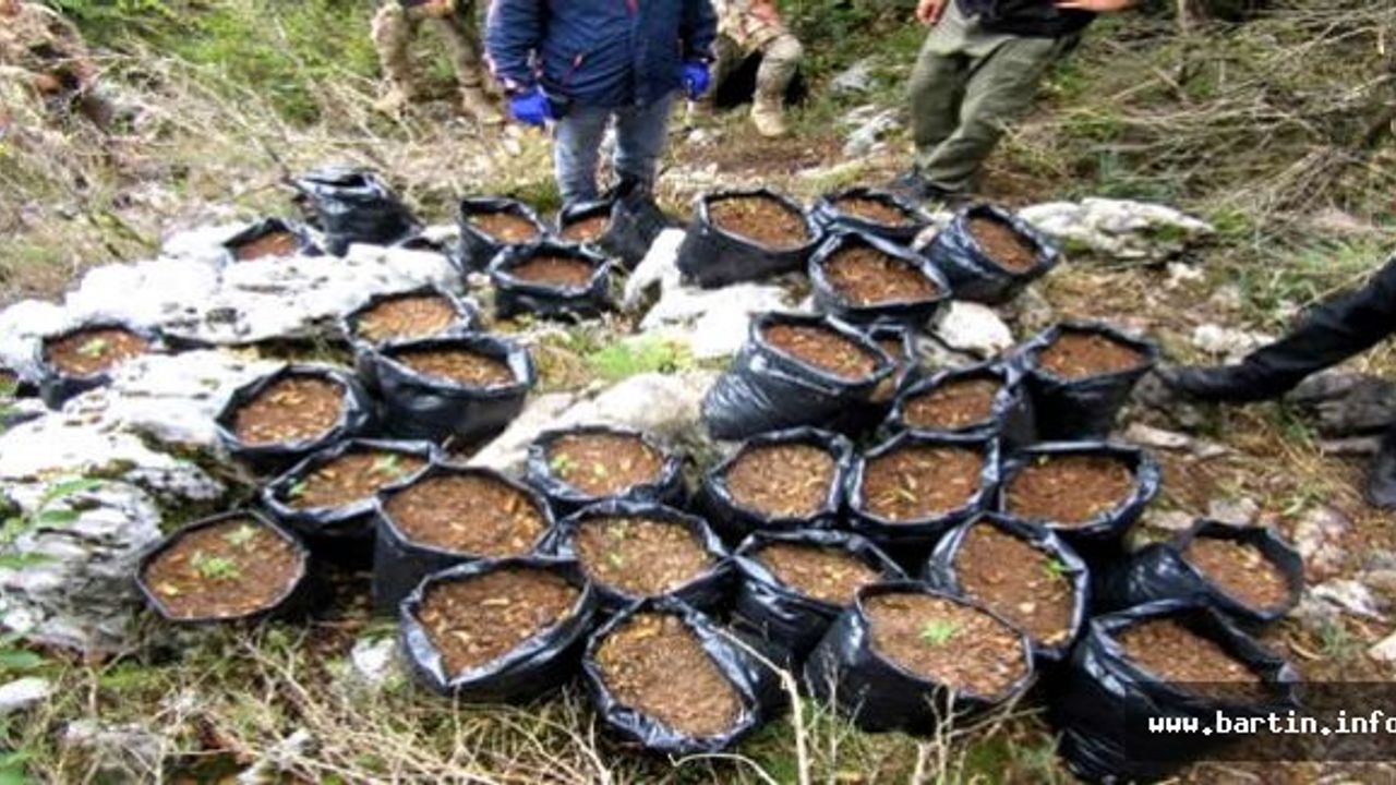 Milli Parkı talan eden zehir tacirlerine komandolu operasyon