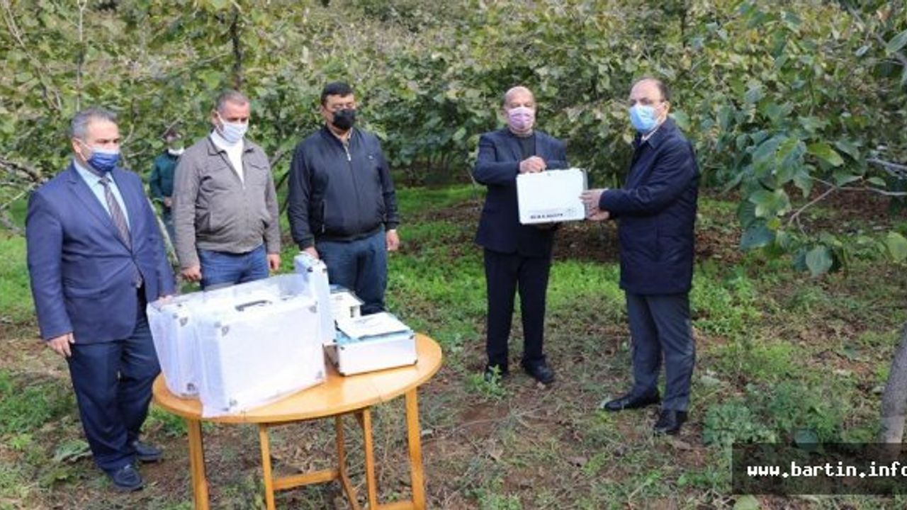 Bartın'da Fındık Seferberliği Devam Ediyor