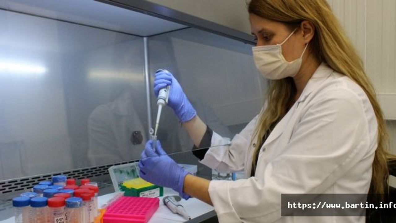 Bartın'a Gelenlere PCR Testi Yapılacak