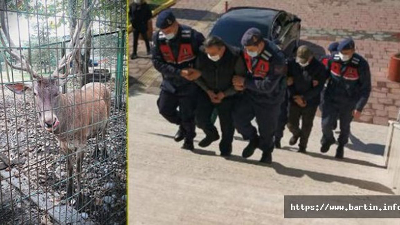 Alageyiği Kaçırıp Yiyenlere Rekor Ceza