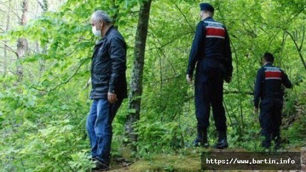Ormanda Kaybolan Yaşlı Adam Aranıyor