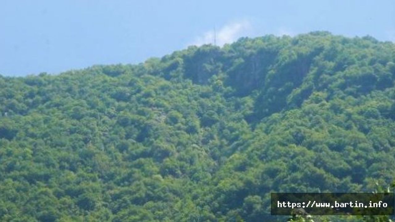 Dağdan Kopan Kayalar, Deprem Etkisi Oluşturdu