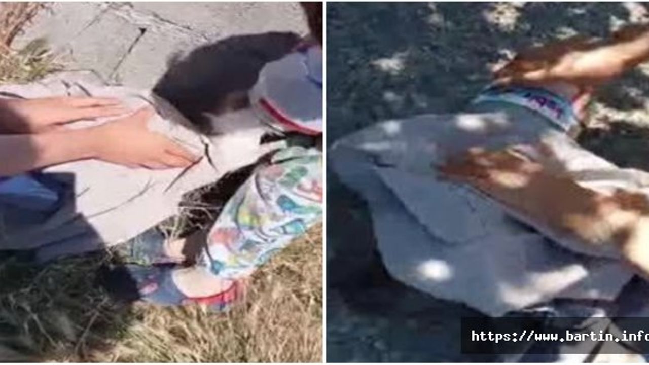 Kafası Plastik Kovaya Sıkışan Kediyi Kurtardılar