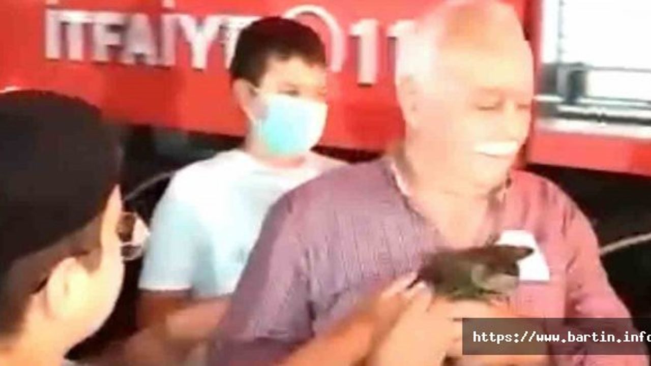 Ağaçta mahsur kalan yavru kedi kurtarıldı