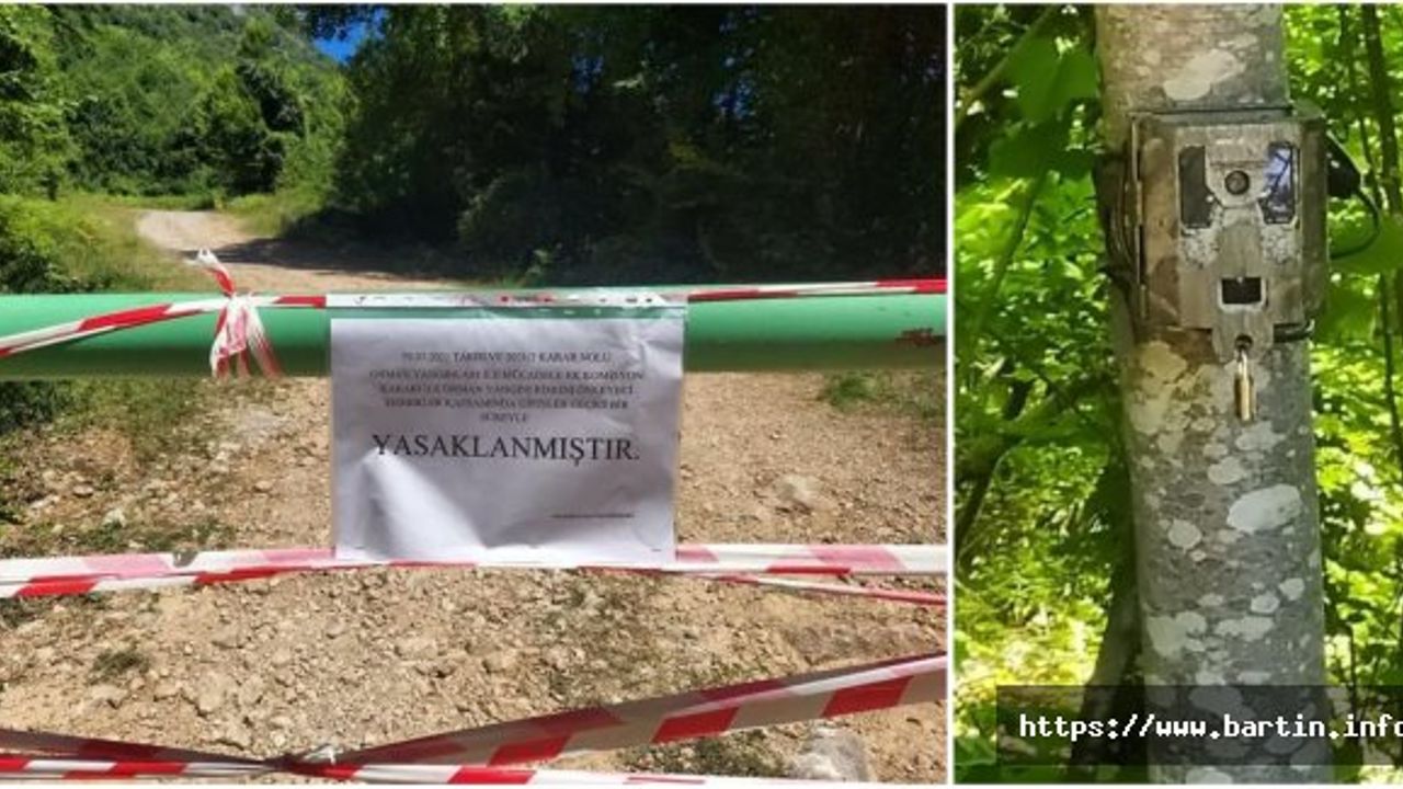 Bu Alanlara Girişler Yasak, İhlaller Fotokapanla İzleniyor