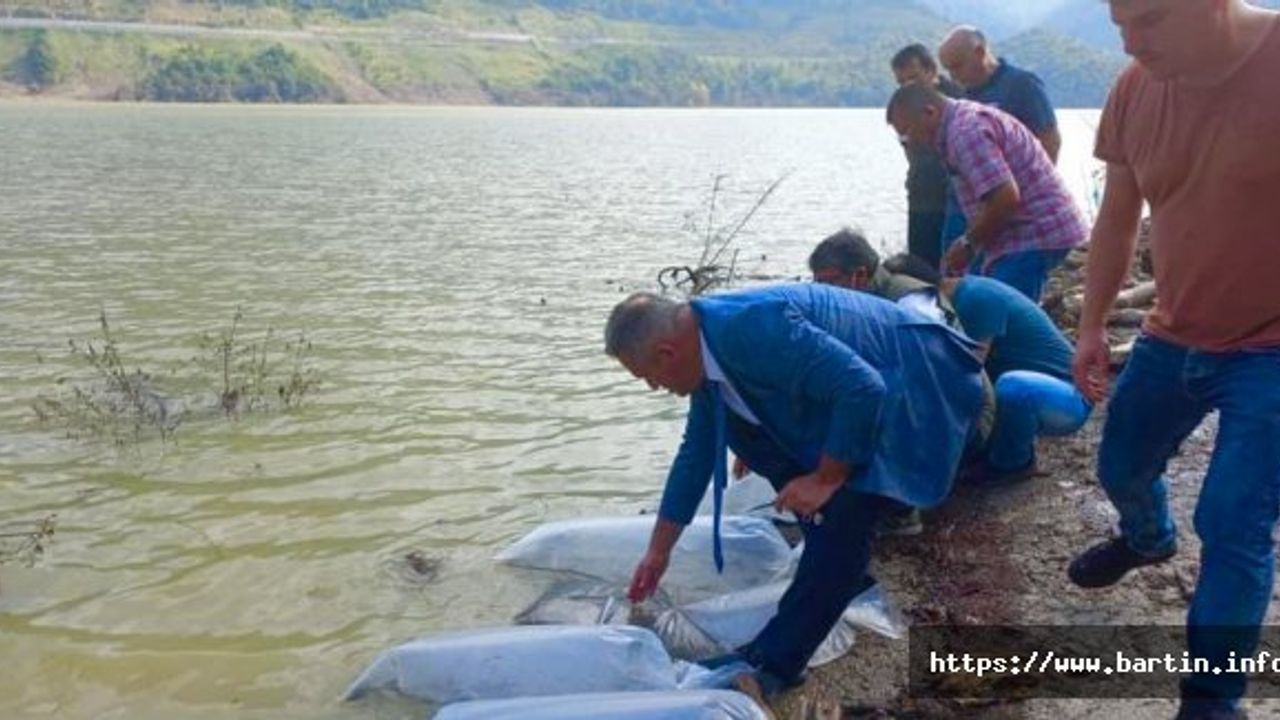 Kirazlıköprü Barajına 85 Bin Sazan Yavrusu