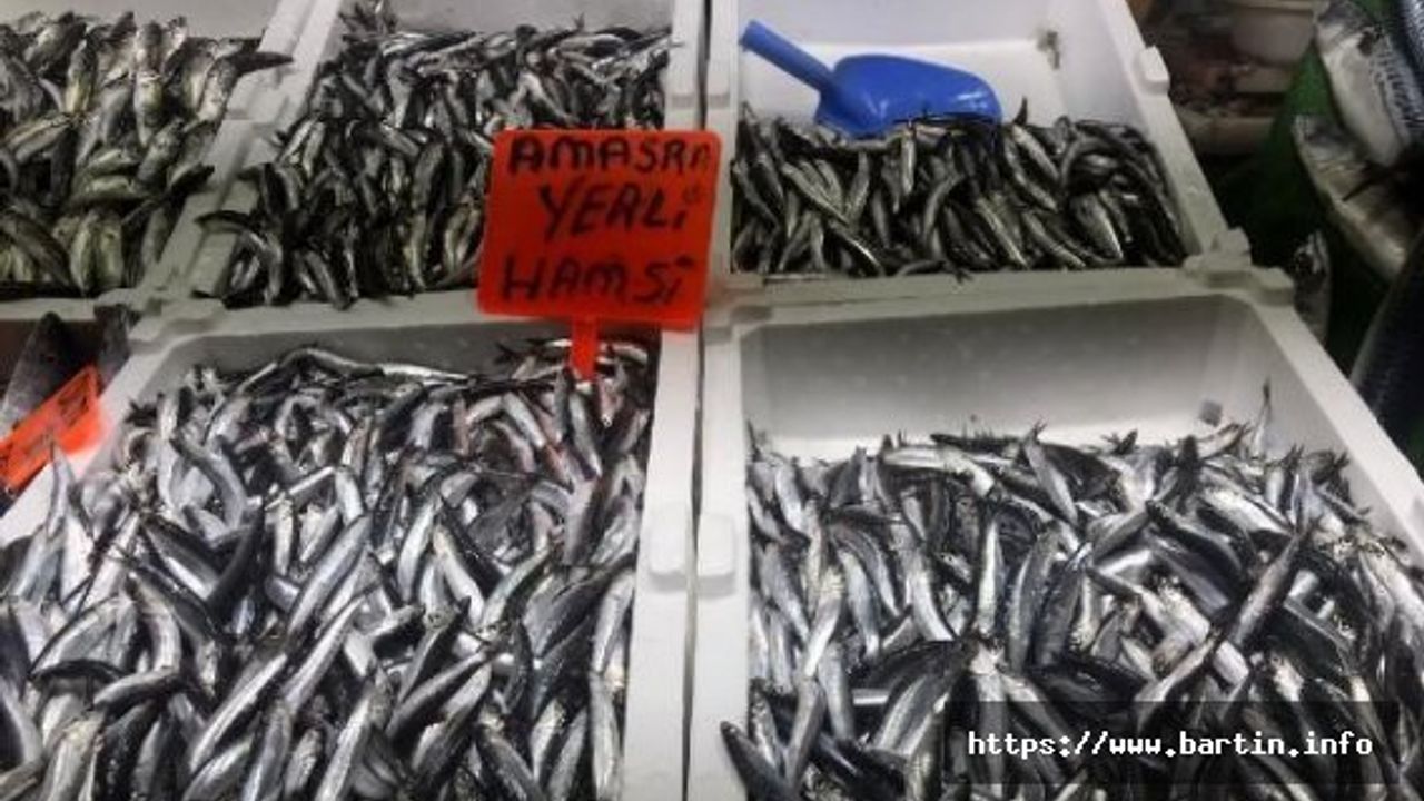 Deniz normale döndü, tezgahlar şenlendi