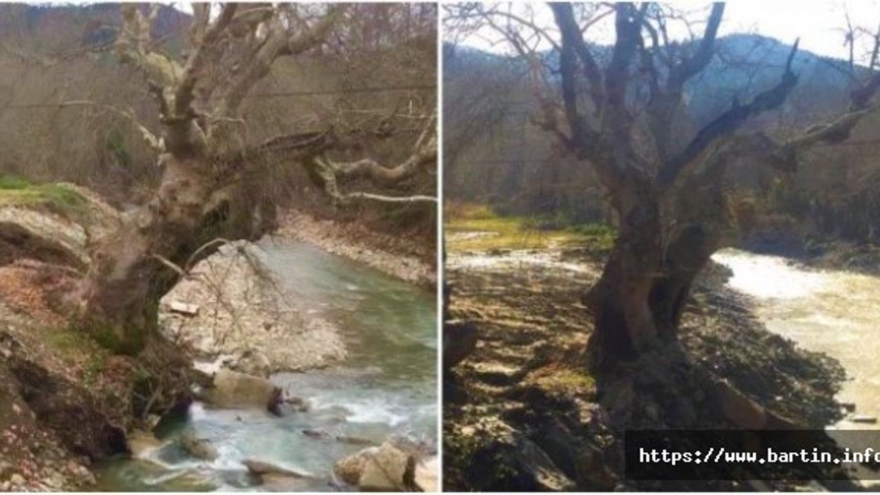 Ekipler Seferber Oldu, 3 Asırlık Miras Kurtarıldı