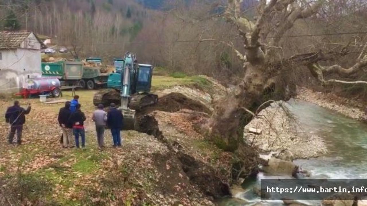 Yan Yatan Yaşlı Ağaç Kurtarılıyor