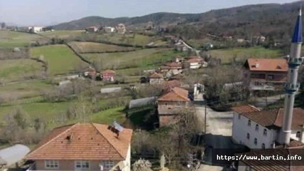 Sobaya Odun Kovası Doldurmaya Gitti, Dönmedi