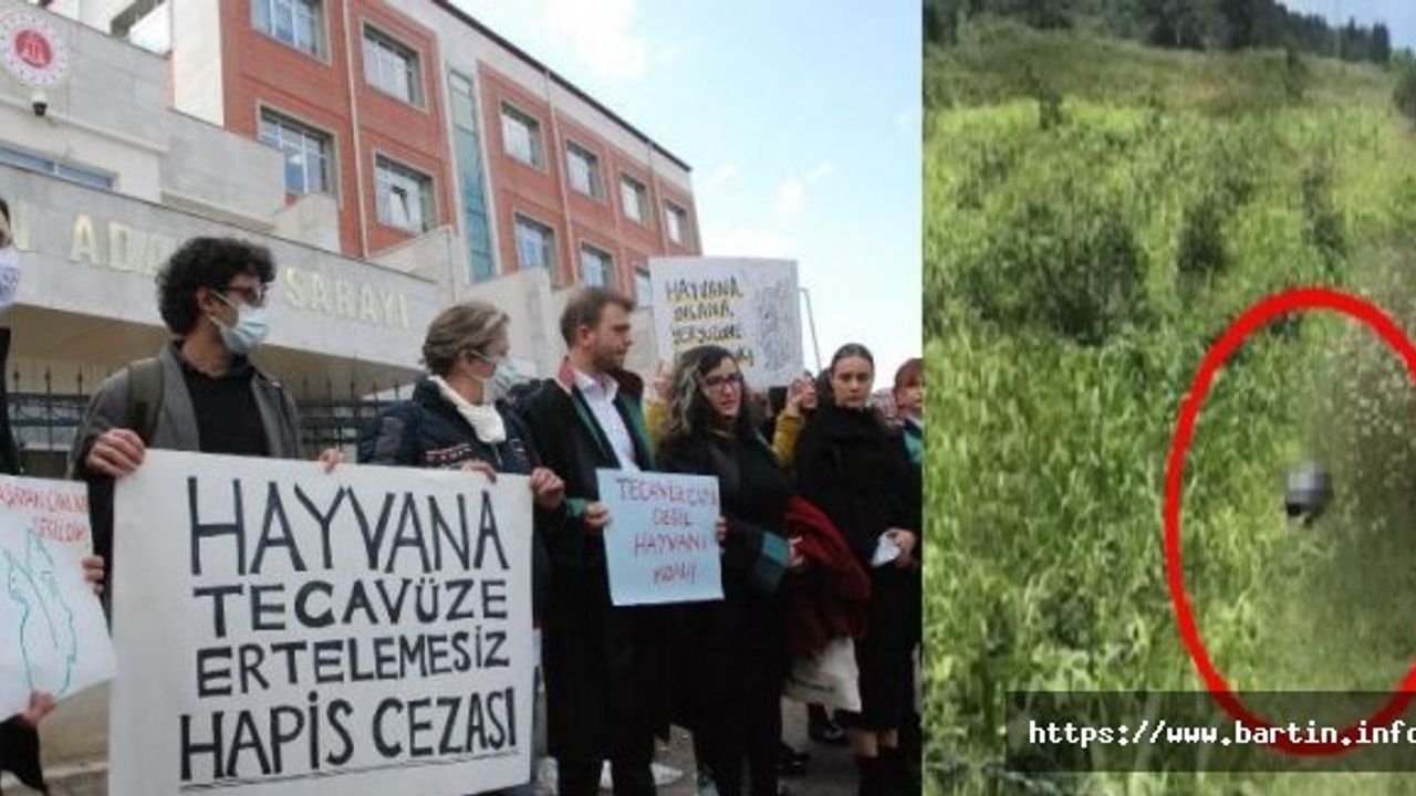 Avukattan HD Görüntü ve İktidarsızlık Tespit İsteği