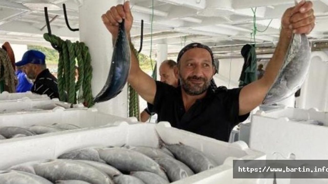 Amasralı Balıkçılar 40 Ton Palamutla Döndü