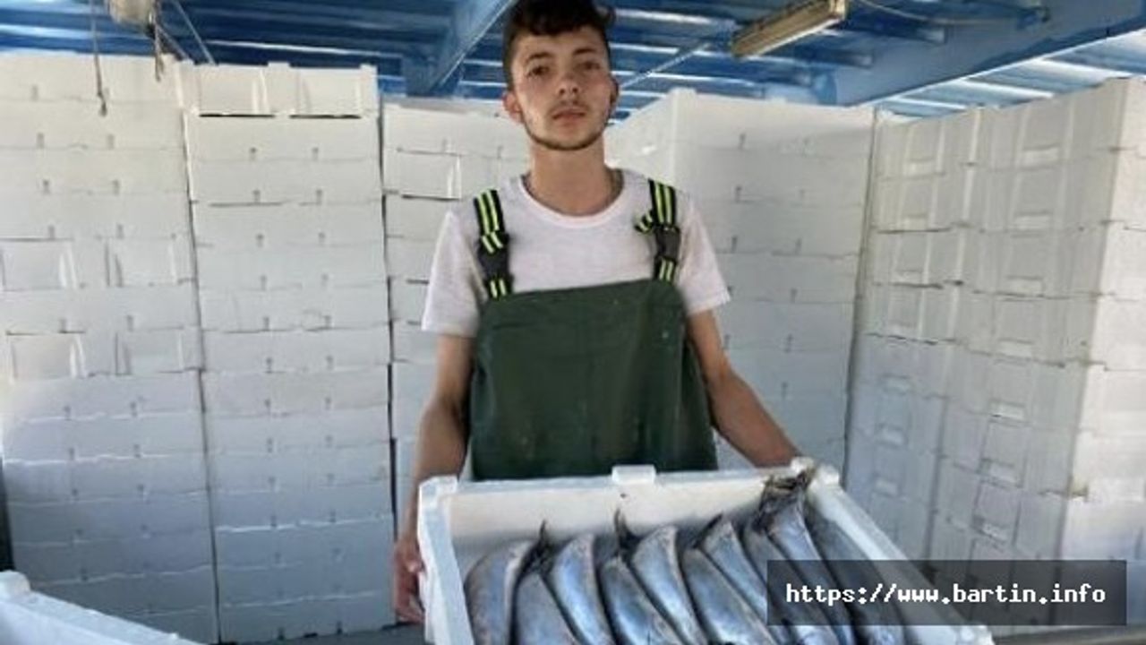 Palamutun Tanesi 10 Liraya Kadar Düştü
