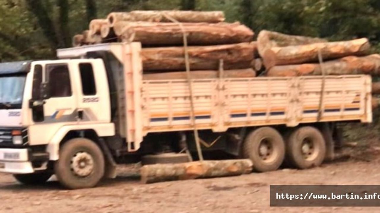 Tomruk Altında Kalan İşçi Ağır Yaralandı