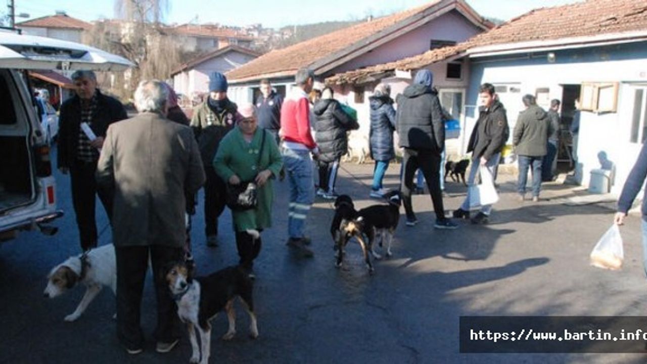 Bartın'da 5 Bin 90 Kedi ve Köpeğe Çip Takıldı