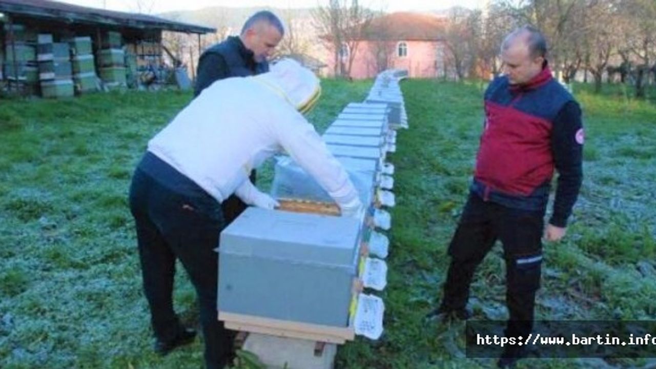 Arılar Uyuyamadı, Rekoltede Düşüş Bekleniyor