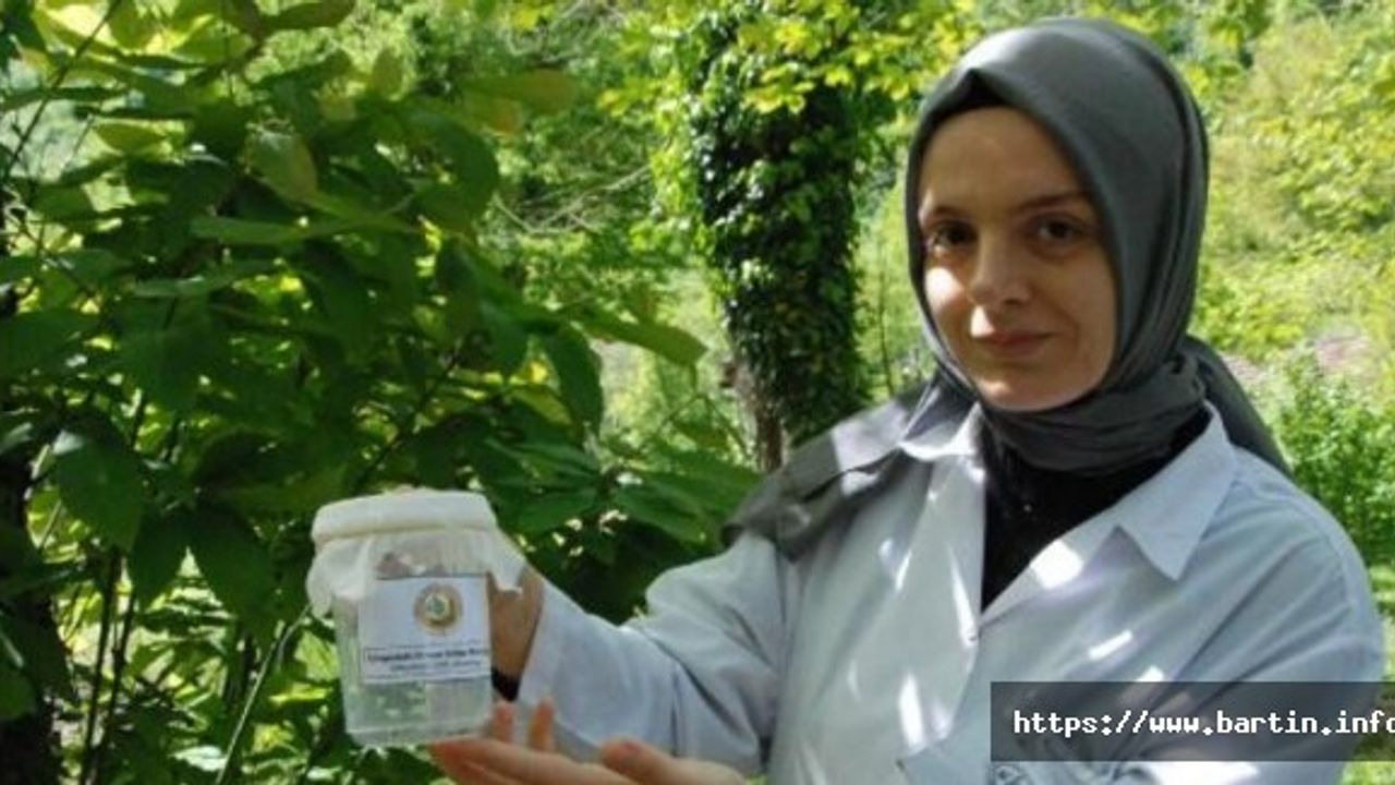 Kestane Balı İçin Terminatör Böcekler Doğaya Salındı