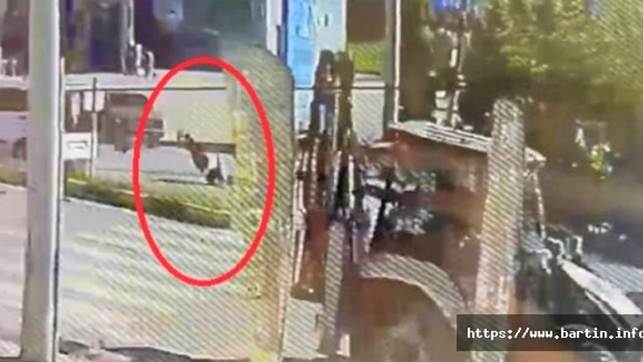 Yaya geçidinde otomobilin çarptığı çocuk metrelerce savruldu