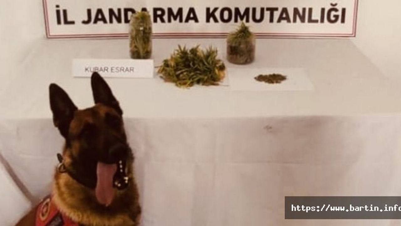 Bartın'da 200 gram kubar esrar ele geçirildi
