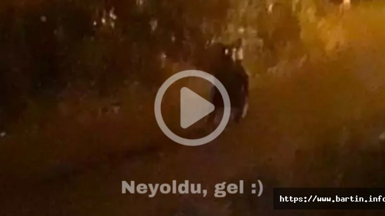 Beldeye İnen Yavru Ayıyla Sohbeti Gülümsetti